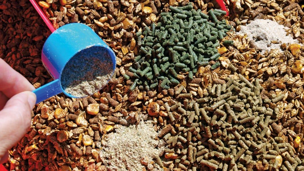 HARITSONS Diatomaceous Earth:
Animal Feed Grade