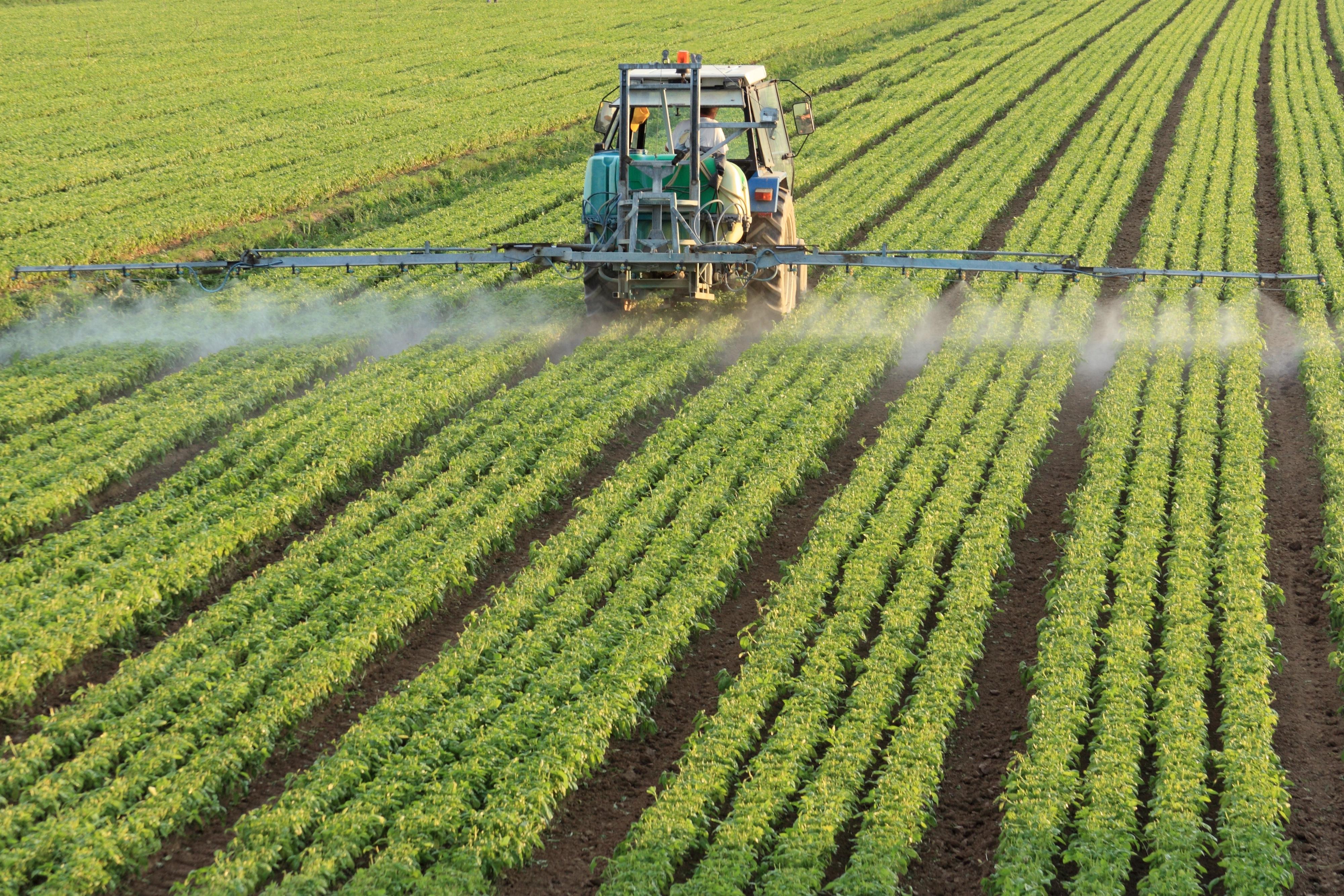 HARITSONS Diatomaceous Earth:
Carrier for Pesticides, Insecticides and Catalyst