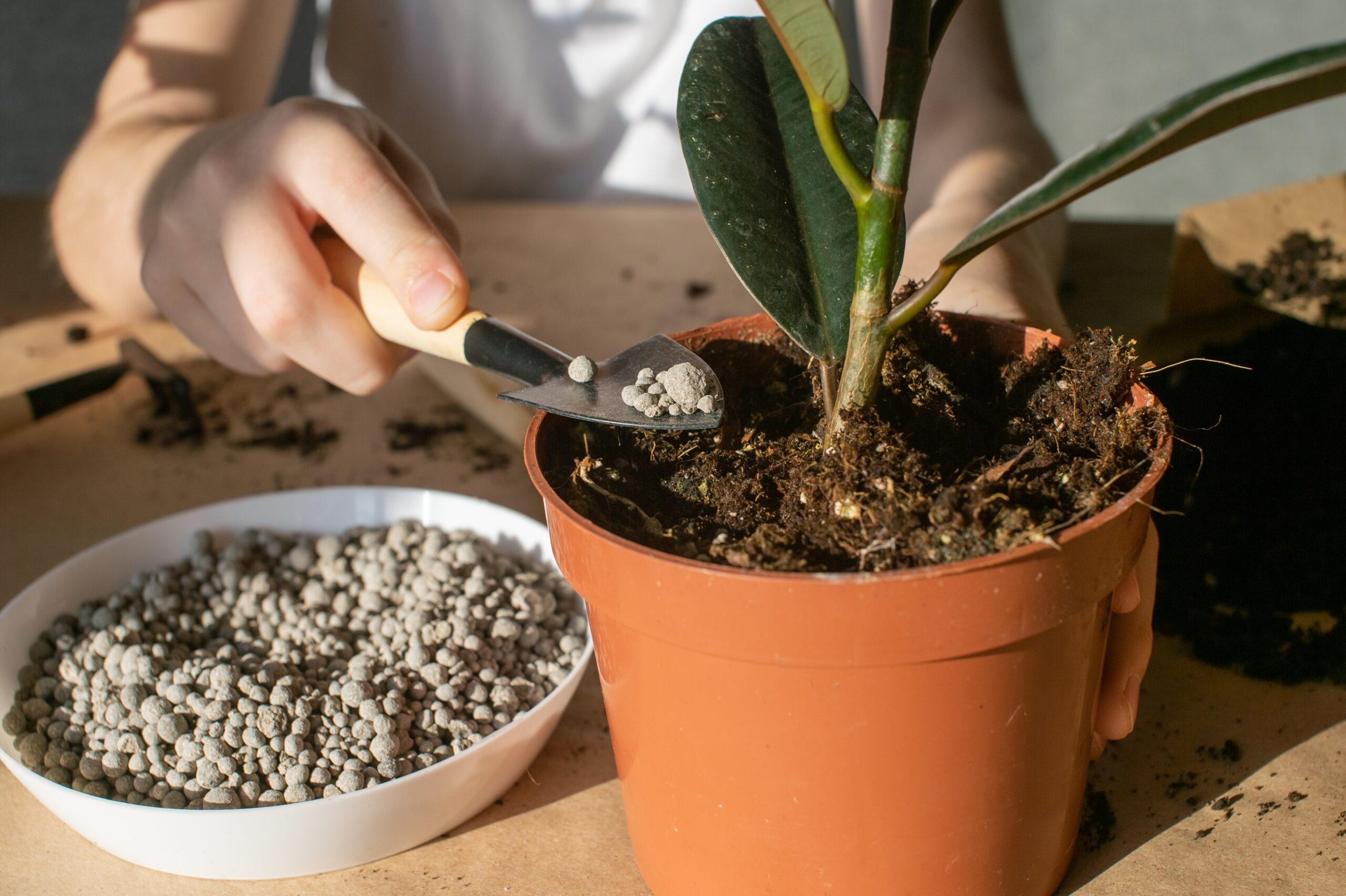 HARITSONS Diatomaceous Earth:
Silicon Granules for Agriculture and Horticulture
